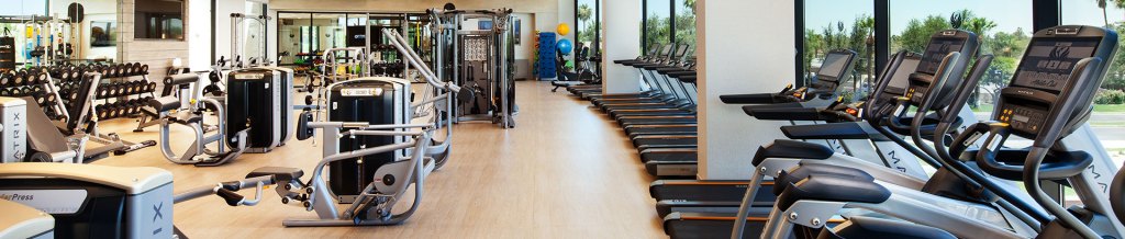Treadmills and machine bikes in fitness area